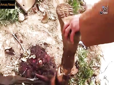 Moment Iraqi Plane Crashes Over ISIS Territory After They Shot It Down