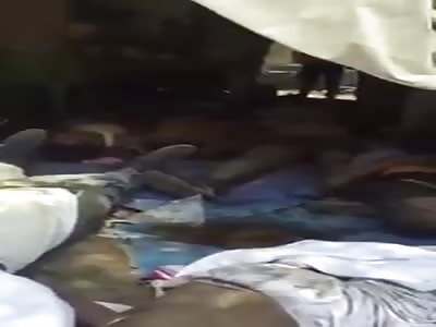 500 dead by Stampede as Government Forces Fired on People on Festival from Helicopter