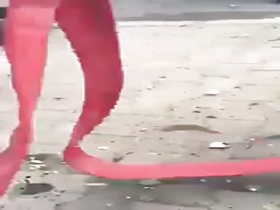 Morning Bloodshed in Baghdad as Several IS Fighters Detonates their Explosives - Over 100 killed