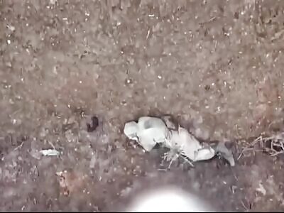 Russian heads are literally exploding!