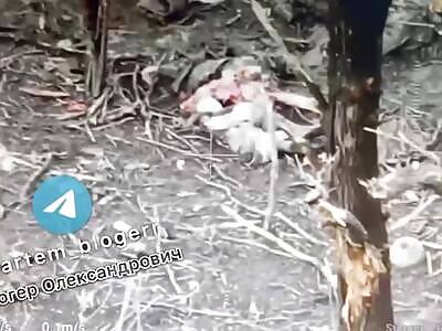 Russian fighters in their usual pose