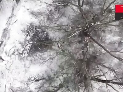 Another orc assault went wrong 