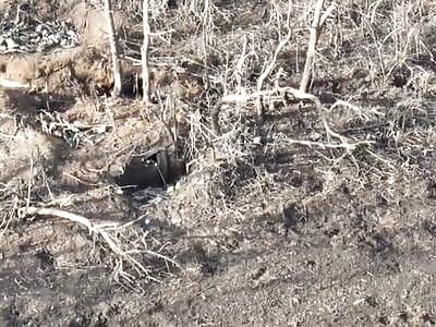 Kicking rats out if their holes