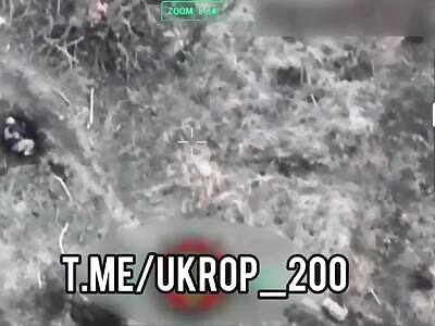 Ukrops Lay Dead Next to Burnt Out IFV