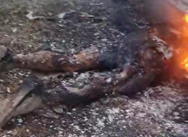 TWO CRIMINALS BURNED ALIVE FOR STEALING CATTLE 