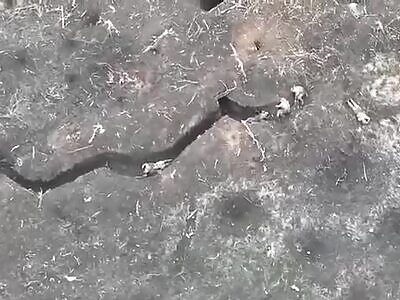 Some dead Russians in Zaporizhzhia region