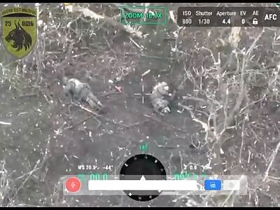 Wounded invader found a way out forever 