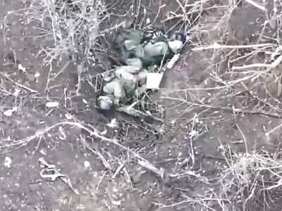 Another invader putting an end to his misery 