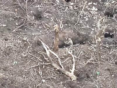 Death can come fast in a war (Ukraine 2024)