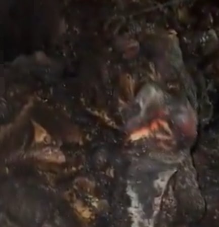 Three People Carbonized After Car is Set Alight