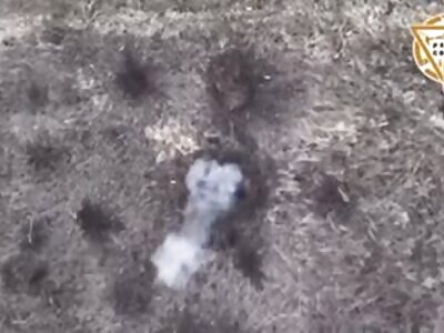 Making Sure Orc Vehicles STAY Out