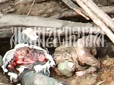 Ukrainian soldiers on suicide mission. Aftermath. 