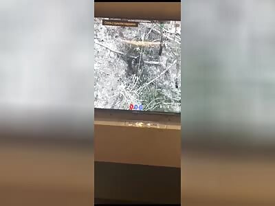 Russians were torn to pieces