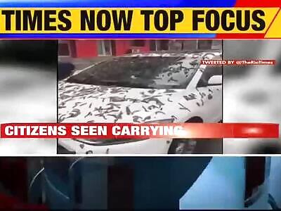 Worms Fall, Instead of Rain