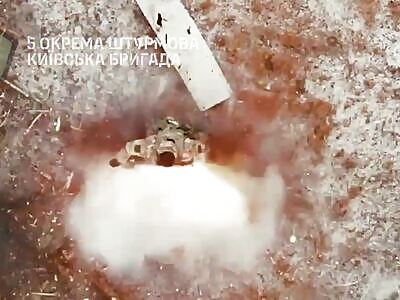 Accurate grenades taking invaders closer to hell