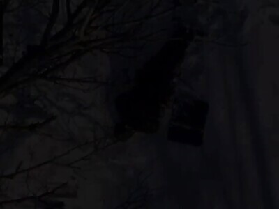 Ukrainian drones delivering some grenades to the invaders.