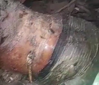 BODY FOUND IN A STATE OF DECOMPOSITION 