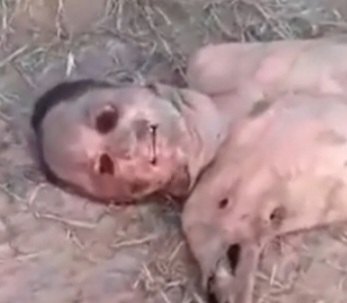 Pedophile's Body Found After Being Executed