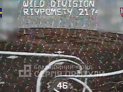 Ukranian mosquito bit the invader 