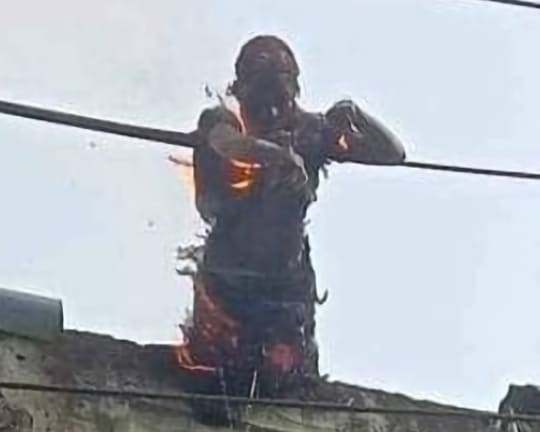 (full video) Crowd Watches As Woman Roasts On Power Lines