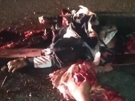 Motorcyclist shattered body crashed by heavy truck 