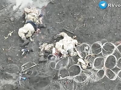 Dead And Wounded Ukrops 