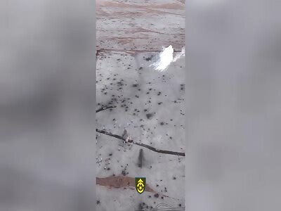 The occupiers tried to launch an attack near Krasnohorivka