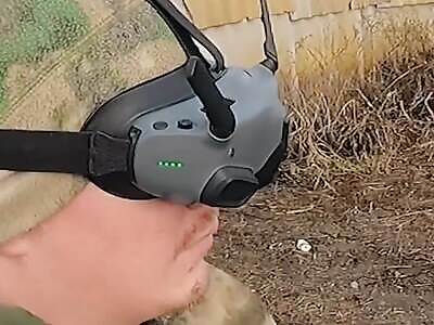 Ukrops Buried In Their Rat Hole 