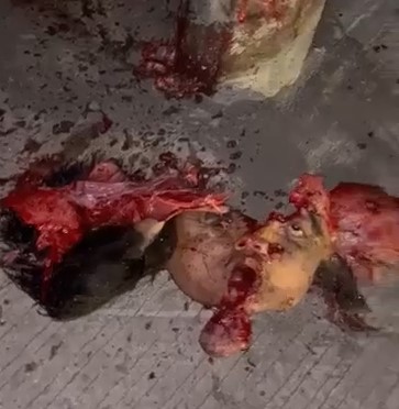 FUCKING BRUTAL, man collapsed when he hit the pole