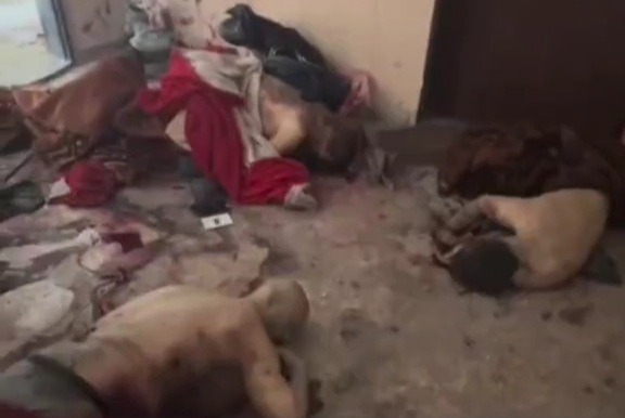 Another massacre committed by Israeli army 