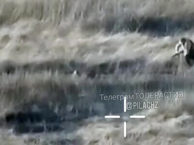 Direct hit to the head