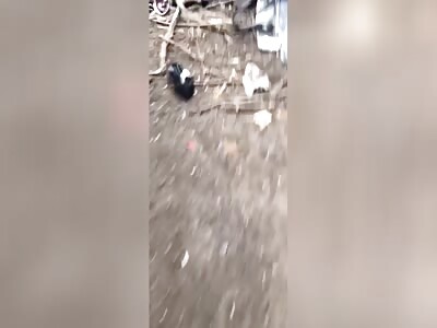 Russian storm trooper showing aftermath 