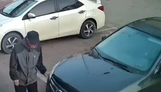 Chinese woman driver crashed old man 