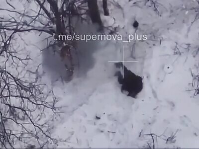 DAMN: Accurate Grenade Headshot (w/ Closeup)