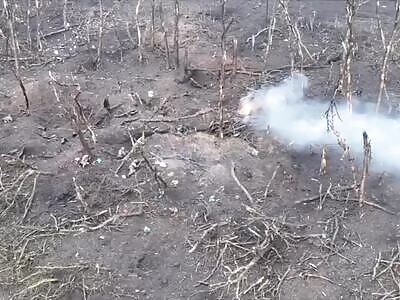 Russians surrendered after failed assault 