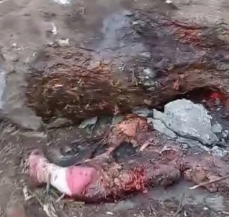 People crashed dead under big rock after a horrific landslide 