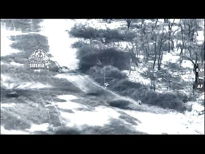 Russian artillery destroys ukrops 