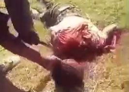 Gang member killed and decapitated by his rivals 