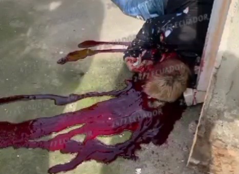 Young man involved with drug gangs executed by hitman 