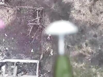 Crawling orcs will stay on the ground 