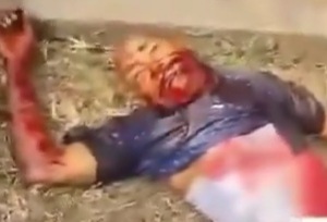 Old Man Working in Zoo Killed by Lion 