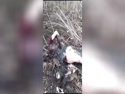 Dead Russian bodies after the battle