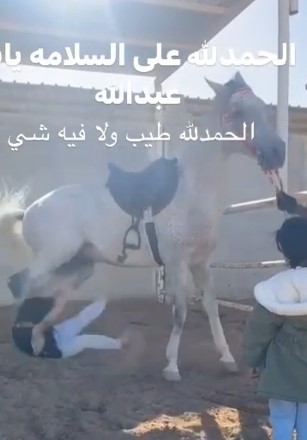 Another Example Of Animals Hating Humans.