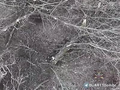 Depopulation of Russians near Avdiivka