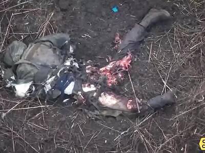 Ukraine Death Comp XLV