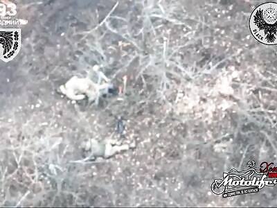 Double kill by Ukrainian FPV