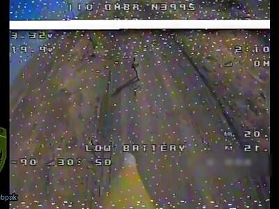 Ukrainian FPV met a group of orcs