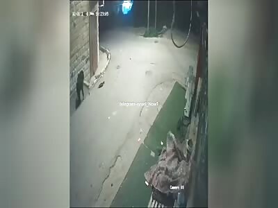 2 Innocent Palestinians are eliminated by IDF in the West Bank