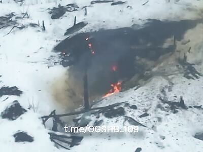 Ukrainian drones hunting creepy cockroaches 