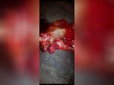 pieces of meat scattered all over the road